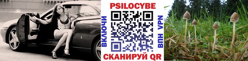 Галлюциногенные грибы Magic Shrooms  Ессентукская 