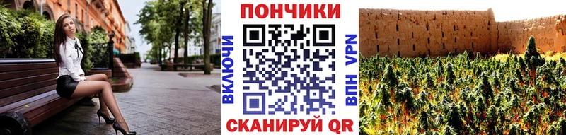 Канабис MAZAR Ессентукская